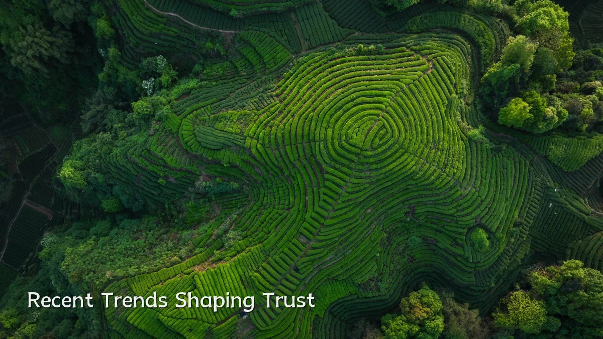 Recent Trends Shaping Trust