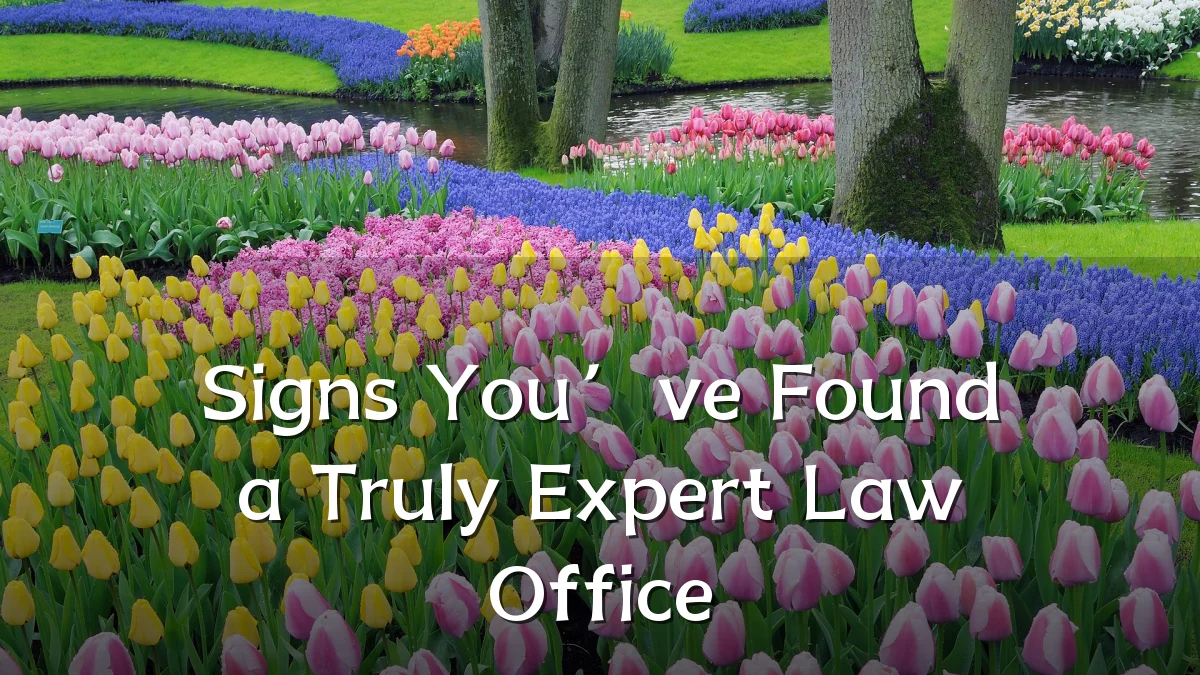 Signs You’ve Found a Truly Expert Law Office