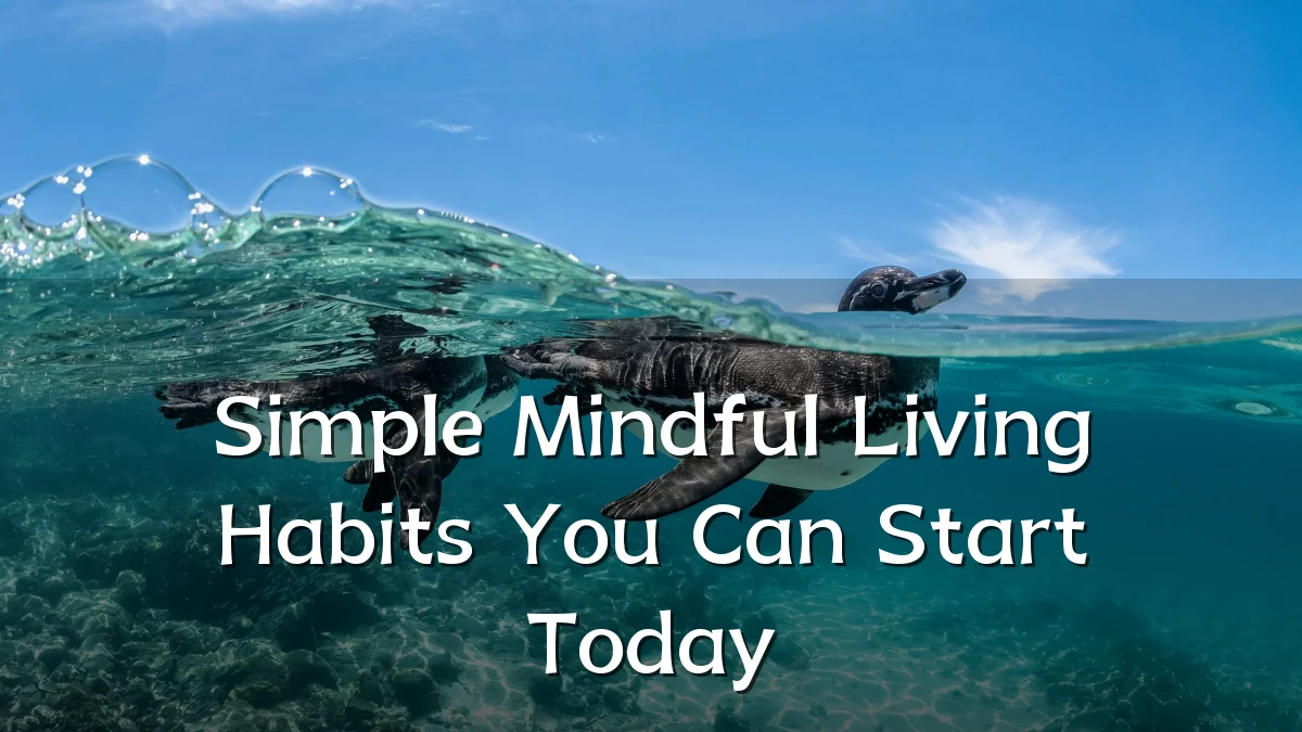 Simple Mindful Living Habits You Can Start Today
