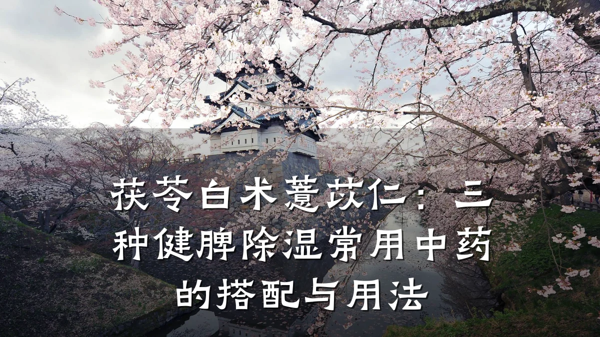 茯苓白术薏苡仁:三种健脾除湿常用中药的搭配与用法