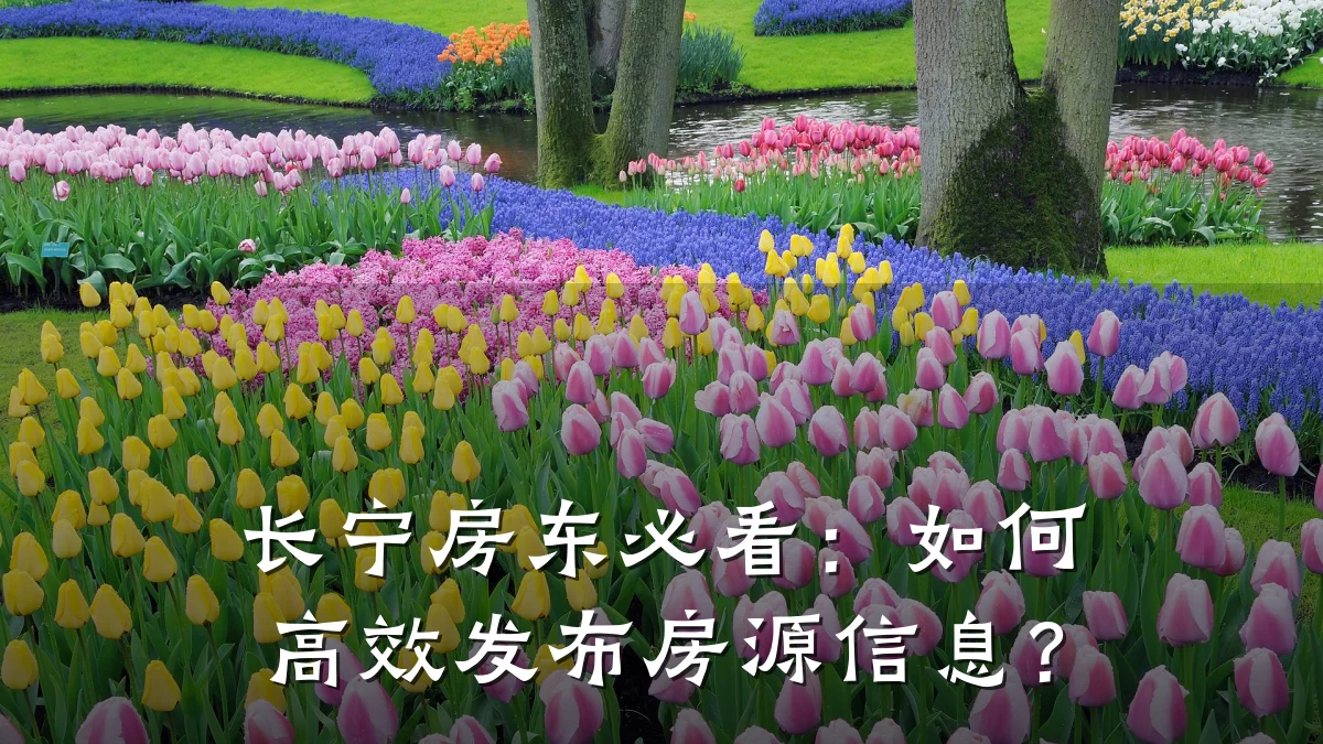 长宁房东必看:如何高效发布房源信息?