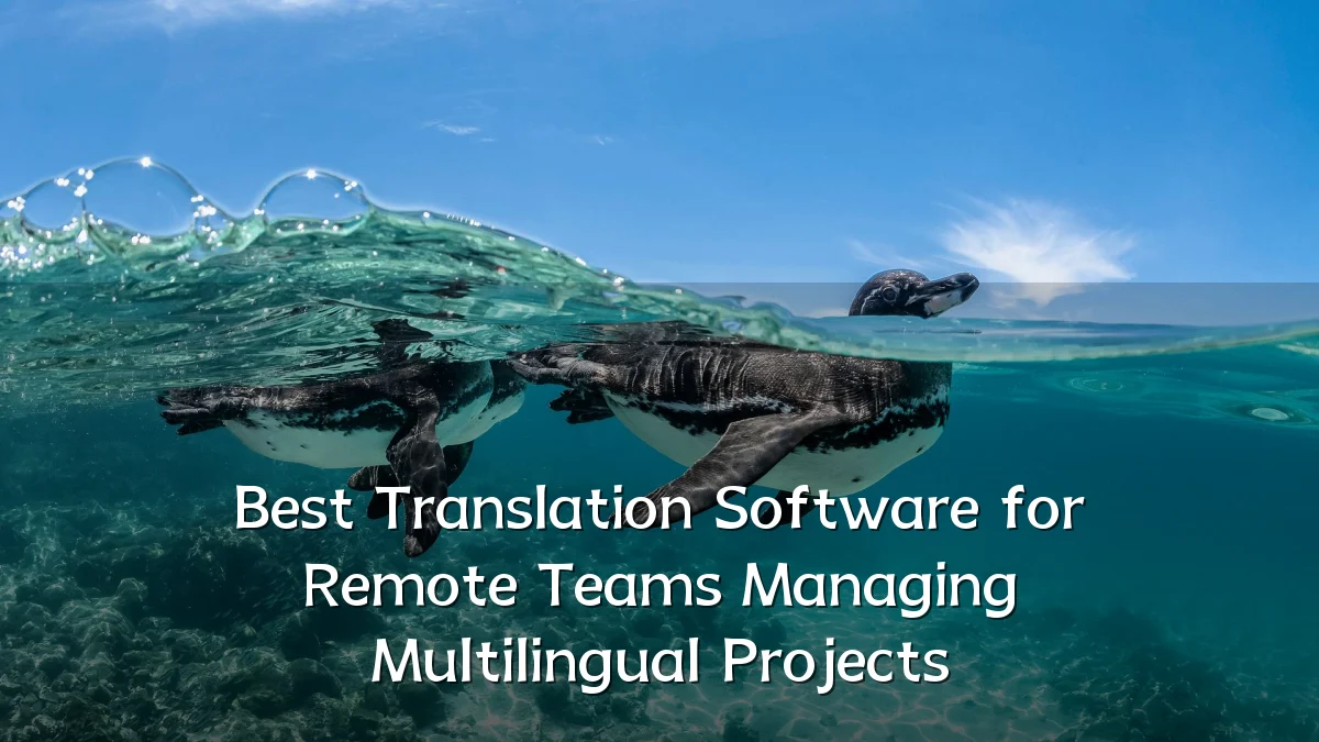 Best Translation Software for Remote Teams Managing Multilingual Projects
