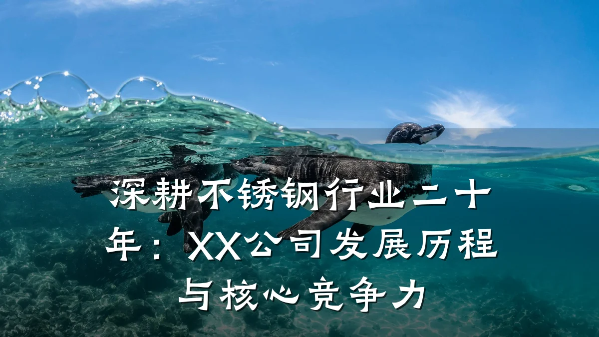深耕不锈钢行业二十年:XX公司发展历程与核心竞争力