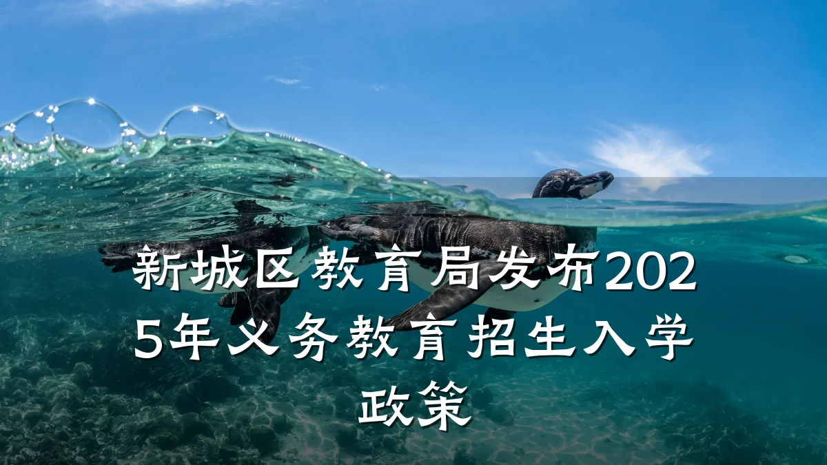 新城区教育局发布2025年义务教育招生入学政策