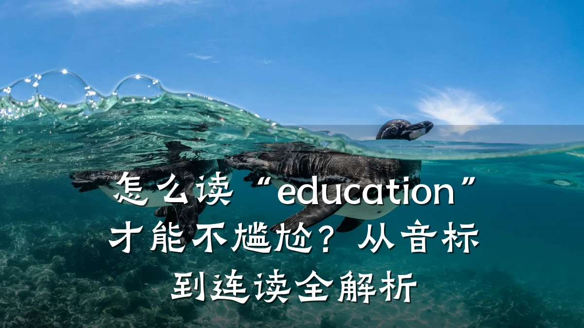 怎么读“education”才能不尴尬？从音标到连读全解析