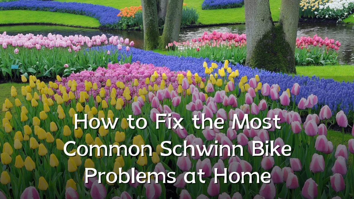 How to Fix the Most Common Schwinn Bike Problems at Home
