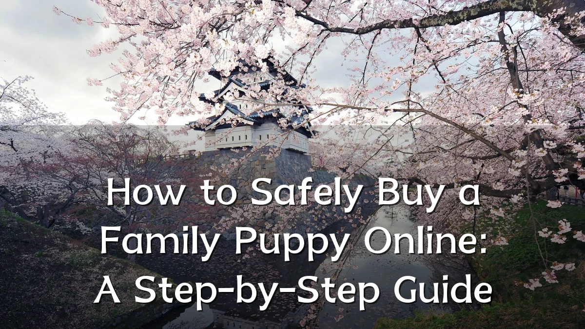 How to Safely Buy a Family Puppy Online: A Step-by-Step Guide