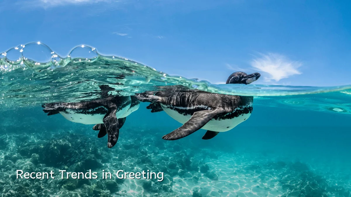 Recent Trends in Greeting