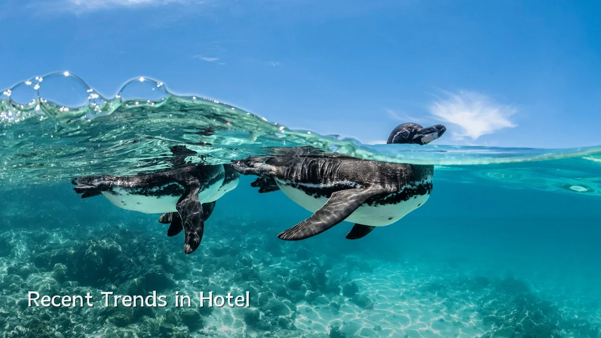 Recent Trends in Hotel